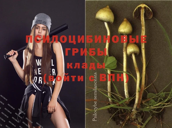трава Вязники