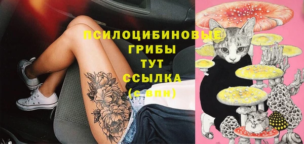 соль ск Волоколамск